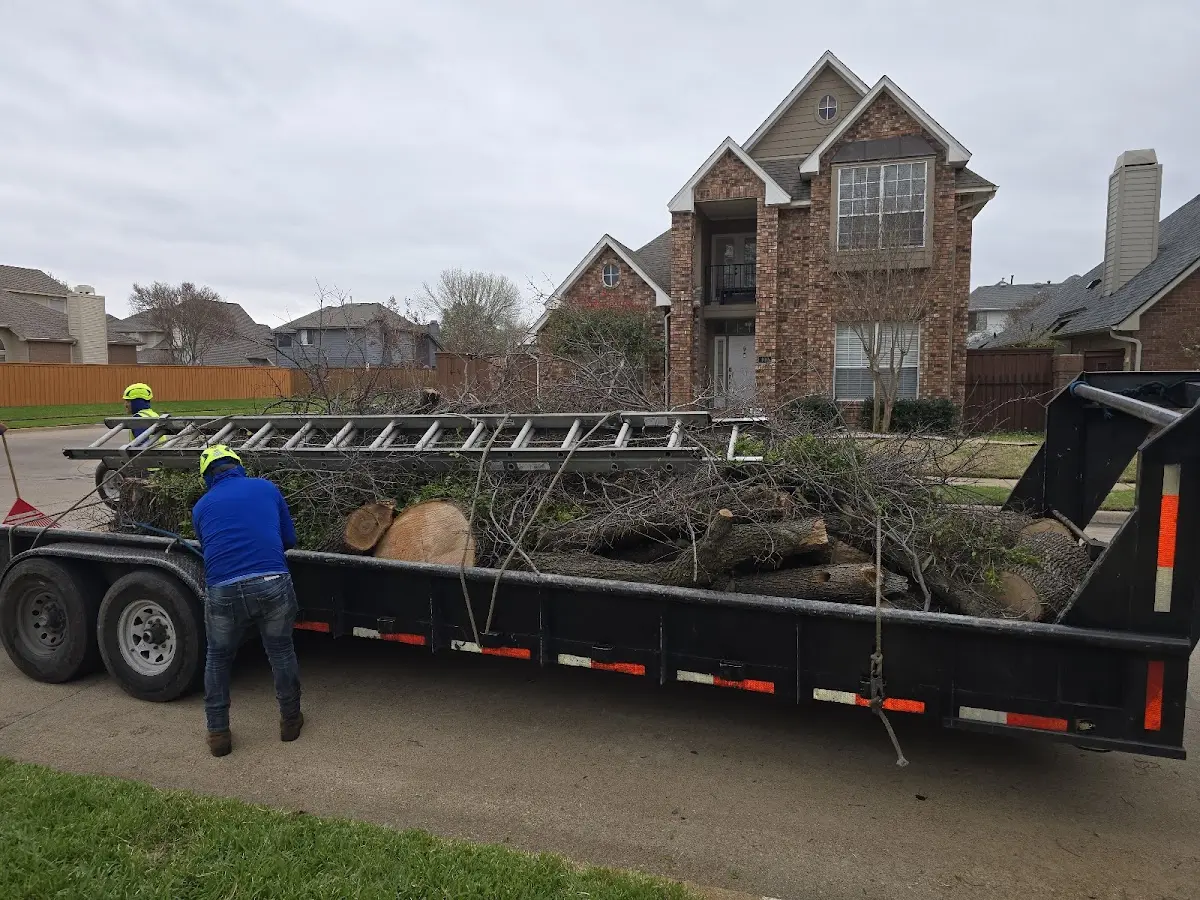 Expert Tree Pest Control with proper safety equipment in Pocahontas
